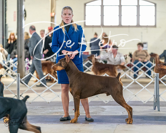 20240330-DSC07769