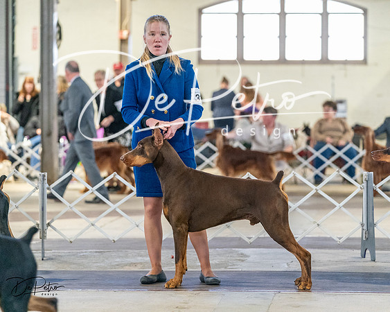 20240330-DSC07770