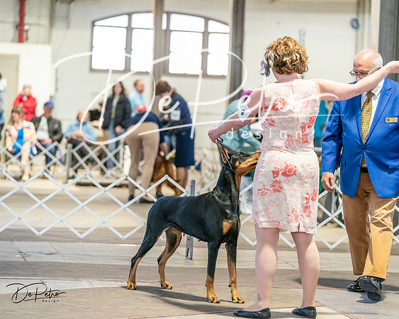 20240330-DSC07312