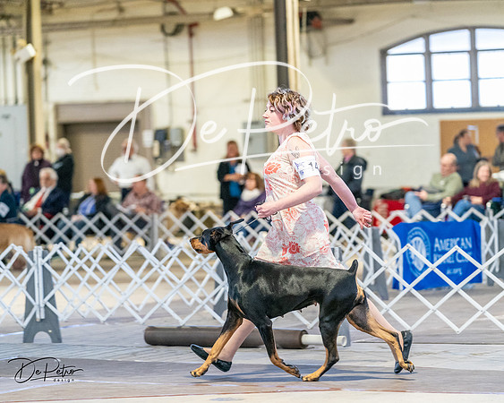 20240330-DSC07339