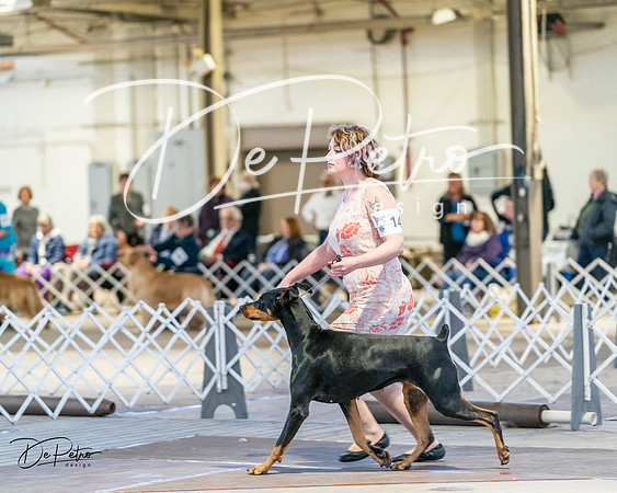 20240330-DSC07344