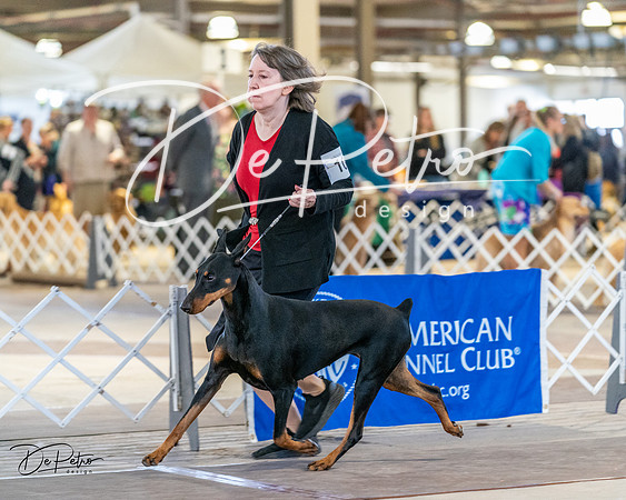20240330-DSC07487