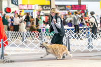 20240330-DSC07784