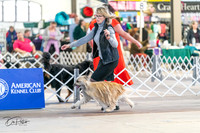 20240330-DSC07791