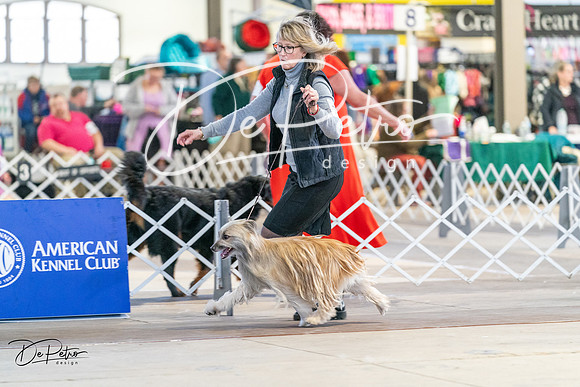 20240330-DSC07791