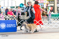 20240330-DSC07792