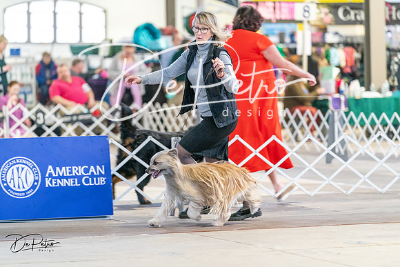 20240330-DSC07792