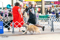 20240330-DSC07788