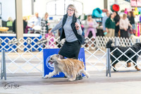 20240330-DSC07798