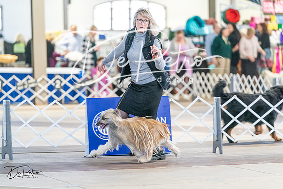20240330-DSC07798