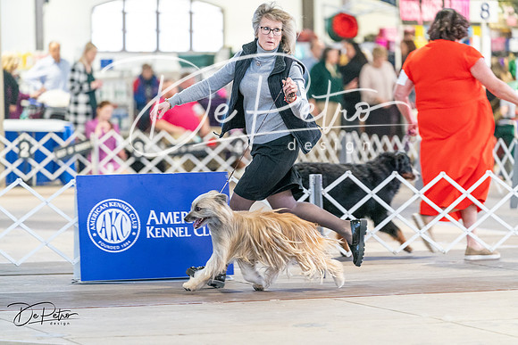 20240330-DSC07795