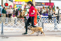 20240330-DSC07804