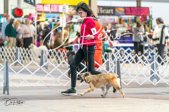 20240330-DSC07804