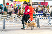20240330-DSC07805