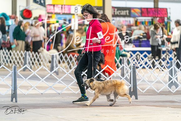 20240330-DSC07805