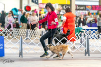 20240330-DSC07808