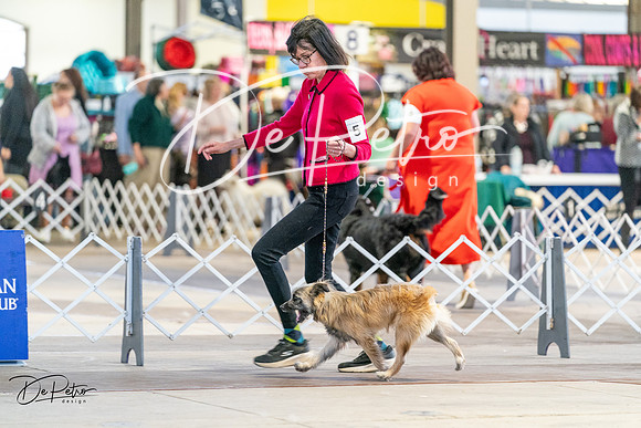 20240330-DSC07808