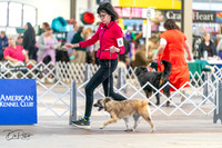 20240330-DSC07811