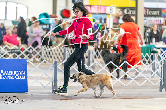 20240330-DSC07811