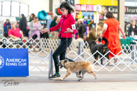 20240330-DSC07812