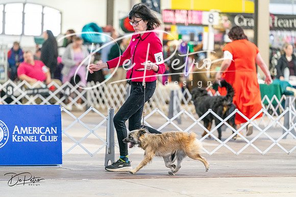 20240330-DSC07812