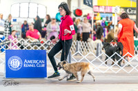 20240330-DSC07815