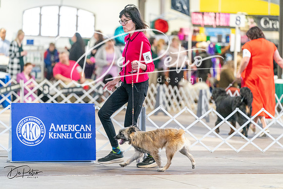 20240330-DSC07815