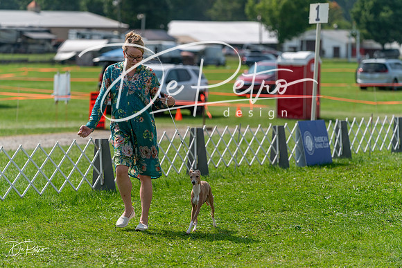 20240816-DSC00322