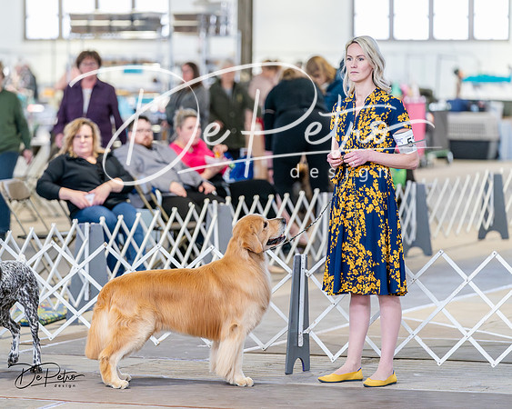 20240330-DSC08495