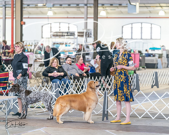 20240330-DSC08487