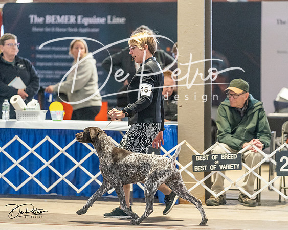 20240330-DSC08511