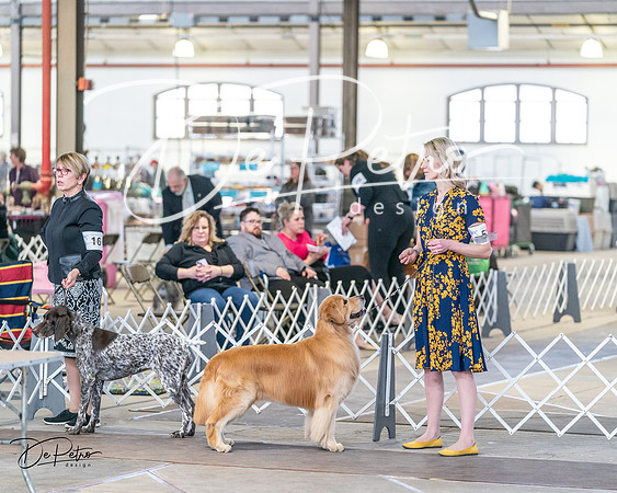 20240330-DSC08488