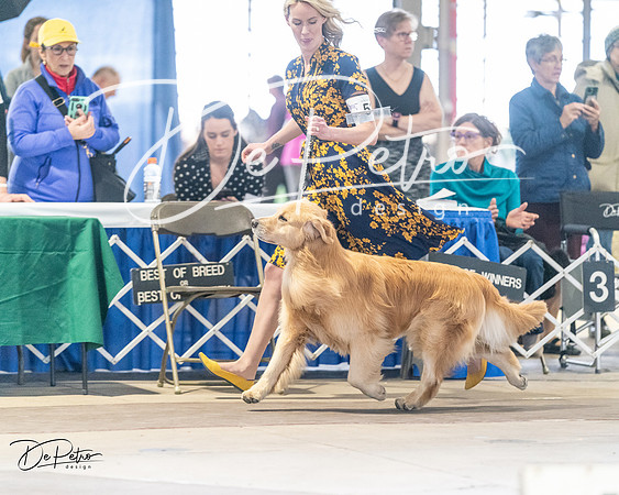 20240330-DSC08577
