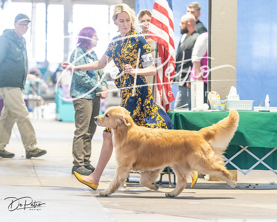 20240330-DSC08588