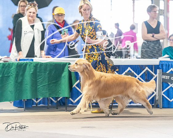 20240330-DSC08581