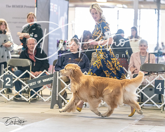 20240330-DSC08609