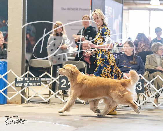 20240330-DSC08614