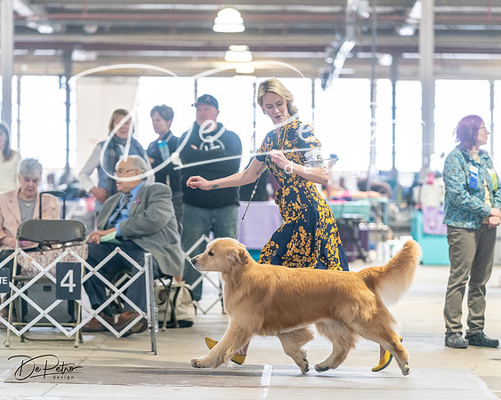 20240330-DSC08636
