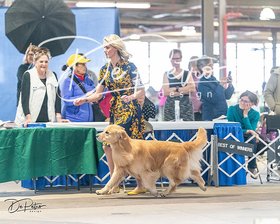 20240330-DSC08619