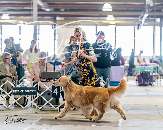 20240330-DSC08640