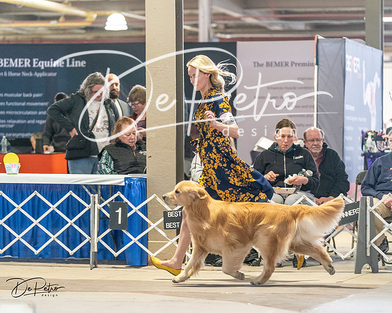 20240330-DSC08659