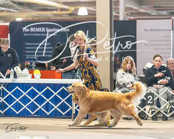20240330-DSC08663