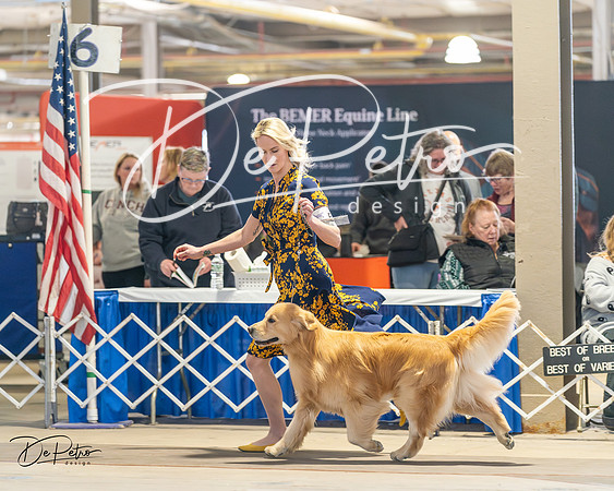 20240330-DSC08668