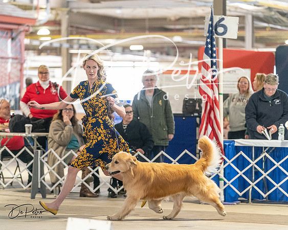 20240330-DSC08681