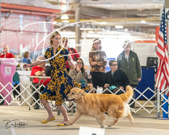 20240330-DSC08685