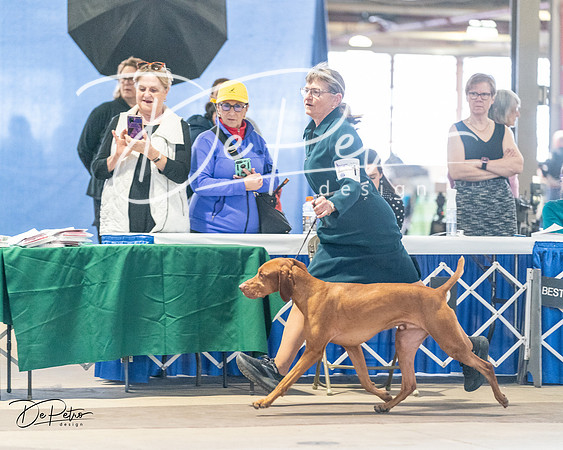 20240330-DSC08693