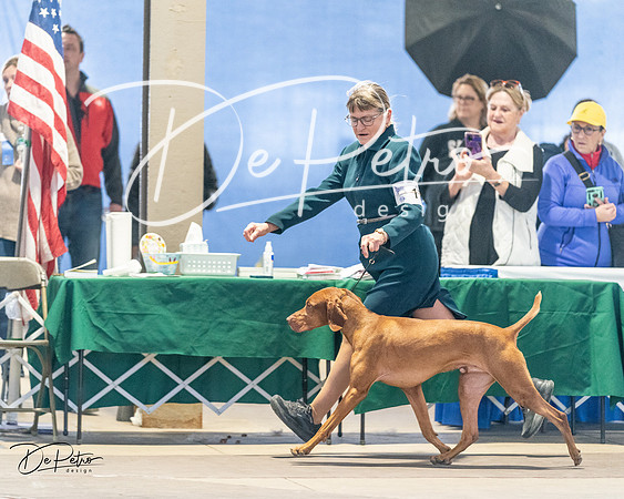 20240330-DSC08701