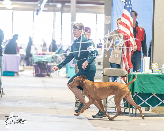 20240330-DSC08714