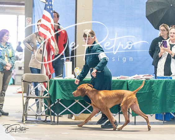 20240330-DSC08705