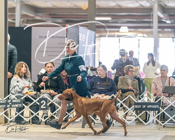 20240330-DSC08745